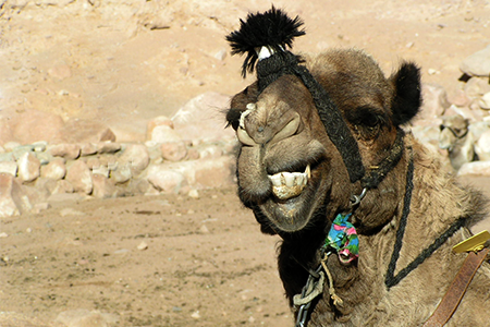 HS_Tips_Post_[450x300]